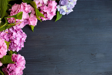 hydrangea flowers on black wooden background. Floral border with copy space. 
Top view.