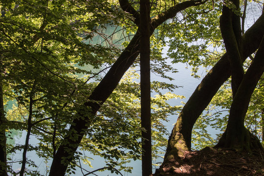 Paysage de la nature dans le parc national des lacs de Plitvice en Croatie