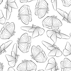 Butterfly coloring book. Seamless pattern background. The design of nature in the spring.