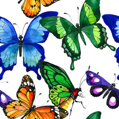 Exotic butterfly wild insect pattern in a watercolor style. Full name of the insect: butterfly. Aquarelle wild insect for background, texture, wrapper pattern or tattoo.