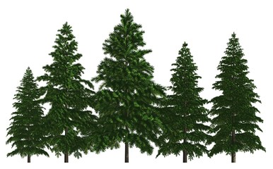 Fototapeta na wymiar Group of trees isolated on white 3d illustration