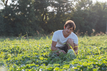 Young farmer checking his watermelon field at organic eco farm