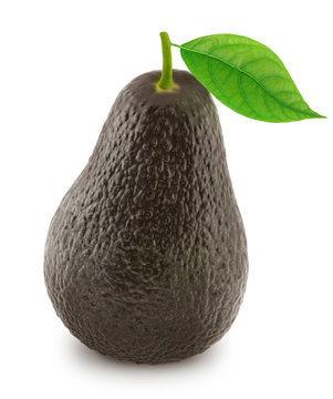 Brown avocado with leaf isolated on a white