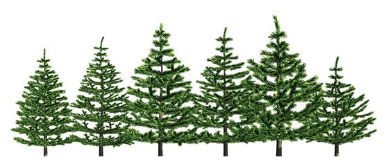 Group of trees isolated on white 3d illustration