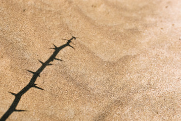 Schatten auf Sand