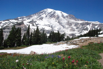 MONT RAINIER