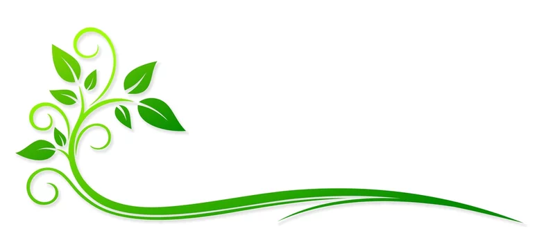 Leaf Marin Tennis Club Plant stem, Leaf, leaf, logo, plant Stem png |  PNGWing