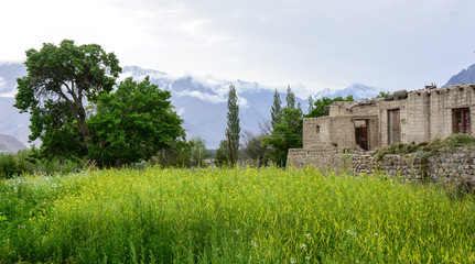 Fototapeta na wymiar Small village in Ladakh, India