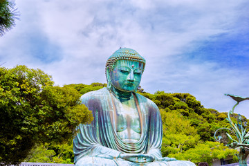 The Great Buddha in Kamakura Japan.There are pigeon to Buddha's head. Located in Kamakura, Kanagawa Prefecture Japan.