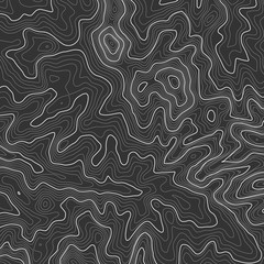 Fototapeta premium Topographic map background with space for copy . Line topography map contour background , geographic grid abstract vector illustration . Mountain hiking trail over terrain .