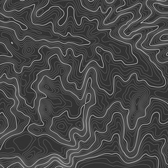 Topographic map background with space for copy . Line topography map contour background , geographic grid abstract vector illustration . Mountain hiking trail over terrain .