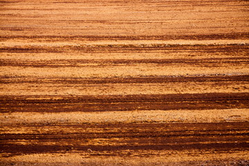 peat bog
