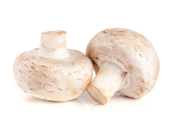 two fresh champignon mushroom isolated on white background