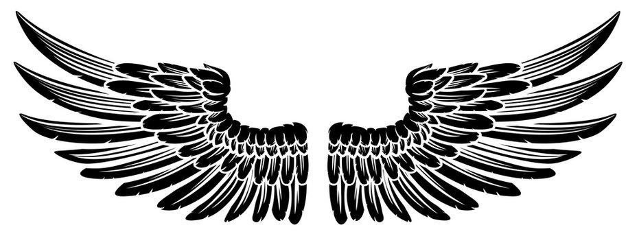 Pair of Vintage Style Wings