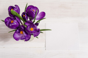 bouquet from crocus flowers in vase  on white wooden table with empty card for your text