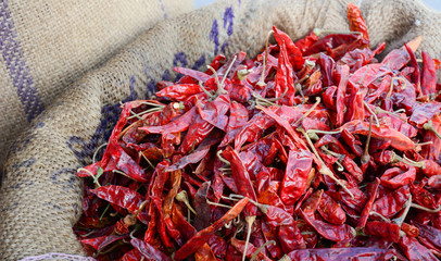 Dried red hot chilli pepper