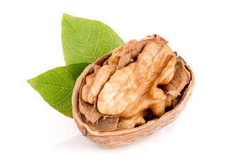 Walnut with leaf isolated on white background