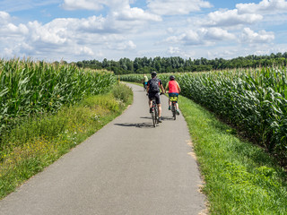 Muldental-Radweg in Sachsen