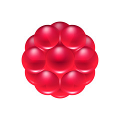Red berry jelly candy icon.