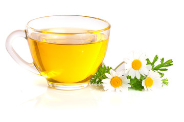 Herbal tea with fresh chamomile flowers isolated on white background