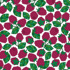 Seamless nature pattern with stylized  raspberries.