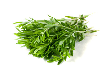 Thyme fresh herb isolated on white background