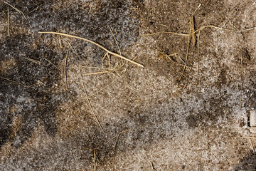 soil texture background