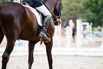 Image en gros plan d& 39 un cheval avec cavalier lors de compétitions de sports équestres de dressage. Détails du matériel équestre