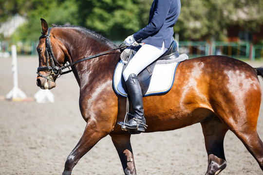 Close up image of horse with rider at dressage equestrian sports competitions. Details of equestrian equipment