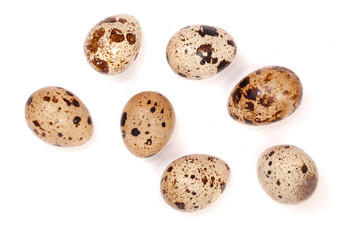 Several quail eggs isolated on white background. Top view