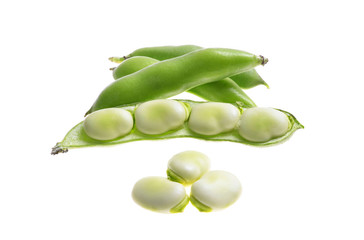 broad beans   pods and grains on an isolated white background