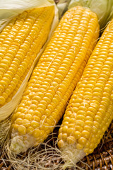 Fresh corn on rustic wooden table, closeup