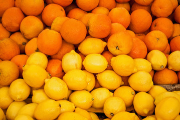 Oranges and lemons alongside each other on the market