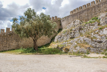 Fototapeta premium Óbidos, Portugal