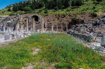Ancient city remains at springtime. Ephesus, Selcuk, Turkey.