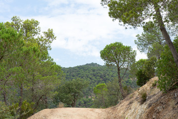 Fototapeta na wymiar Beautiful green landscape in Spain