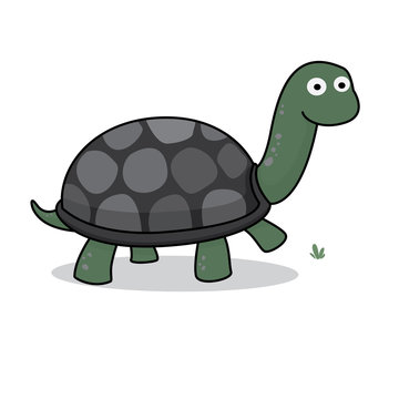 Turtle Icon, Cartoon