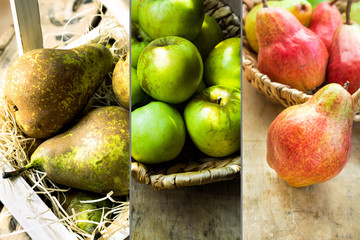 Photo collage autumn seasonal fruits, red and brown pears, green organic apples in wicker basket, farming, harvest, thanksgiving, cozy authentic atmosphere