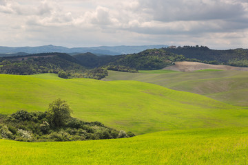 Fototapeta na wymiar Tuscany countryside