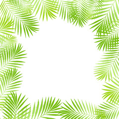 Fototapeta na wymiar Summer tropical palm tree leaves border, frame background. Vector grunge design for card, poster, wallpaper. Natural tropical palm tree on white.