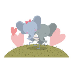 colorful scene sky landscape and grass with caricature couple of elephants one carrying the other vector illustration