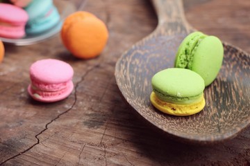 sweet macaroon pastel color