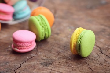 sweet macaroon pastel color