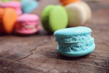 sweet macaroon pastel color