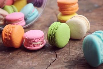 sweet macaroon pastel color