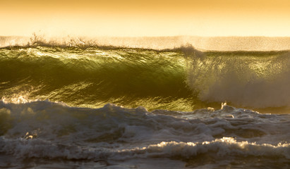 Backlit Wave Mossel Bay