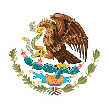Mexican eagle vector