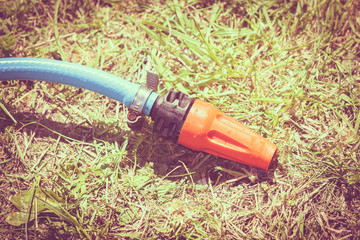 Blue plastic sprayer for gardening