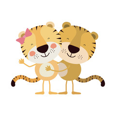 Fototapeta premium colorful caricature with couple of tigers embraced vector illustration
