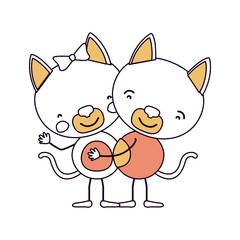 silhouette color sections caricature with couple of cats embraced vector illustration